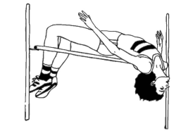Strynehalleikane
